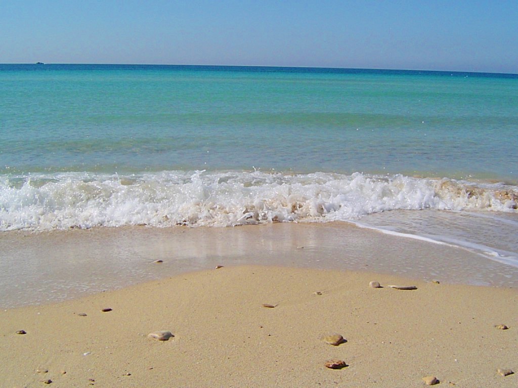 FOTO BANDIERA BLU
