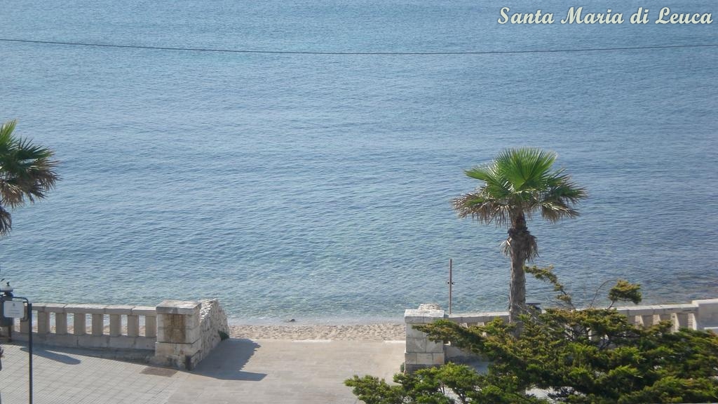 LEUCA 33