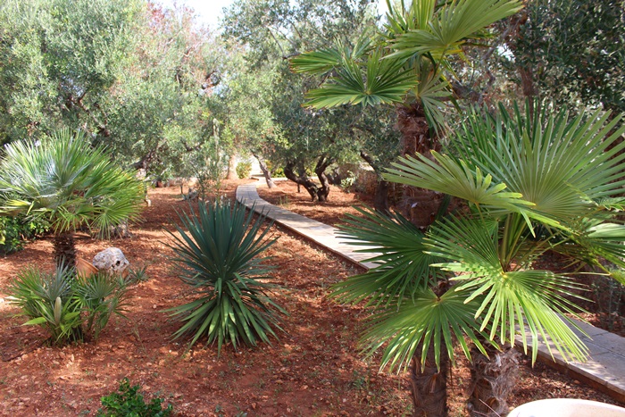 monolocale agave 3