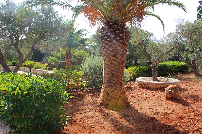 villetta aloe 3