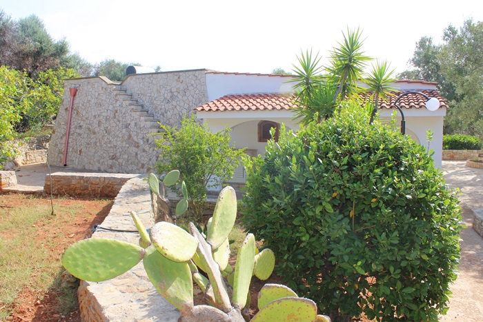 villetta aloe 6